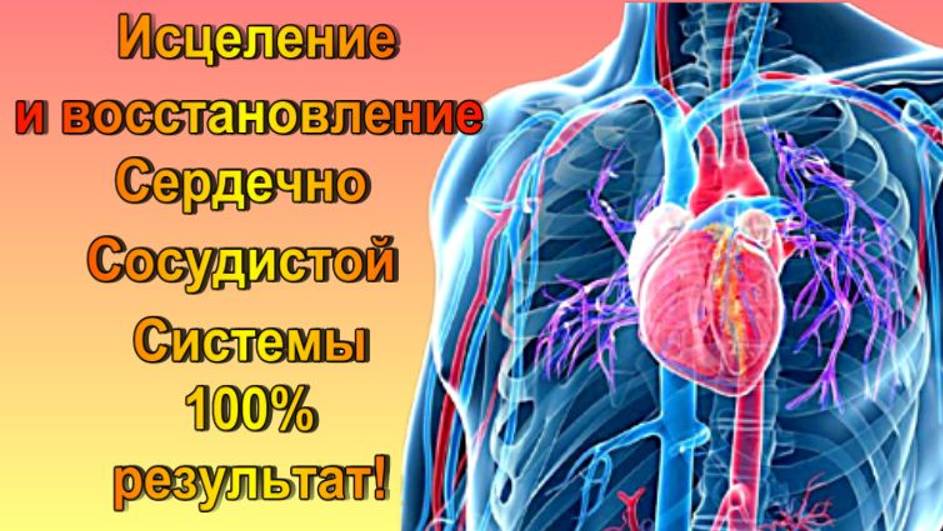 Матрица П. Гаряева Исцеление и Коррекция Сердечно-Сосудистой системы/ Программа №2-2 / смотреть онлайн