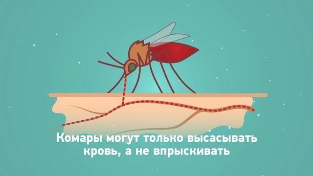 ВИЧ укусы комаров 8 смотреть онлайн