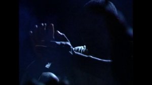 BBC: Джунгли 1 сезон 2 серия (документальный сериал, 2003)