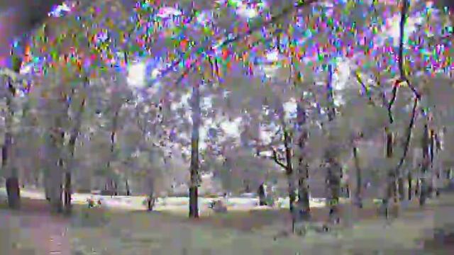 Botanic garden, dipole antenna - 5 смотреть онлайн