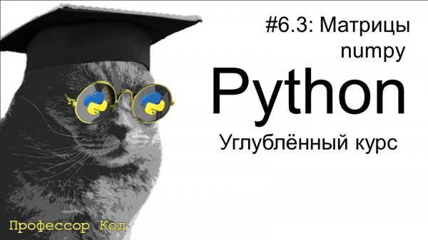 Матрицы. numpy | Python: углубленный курс| Профессор код