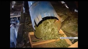 Производство экстракта пихтового. Приобрести можно написав в Ватсапп +7(965)777-29-89 Николай.
