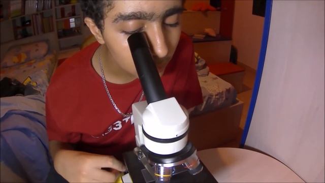 Observation des molecule de l'eau avec un microscope смотреть онлайн