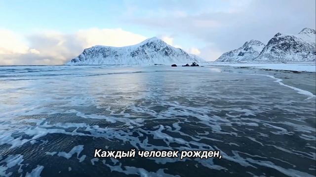 "Принять нужное решение". 13 января. День за днем в Ал-анон. Ежедневник для созависимых. смотреть онлайн