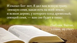 Ел ли Христос мясо, чем питались апостолы и первые христиане