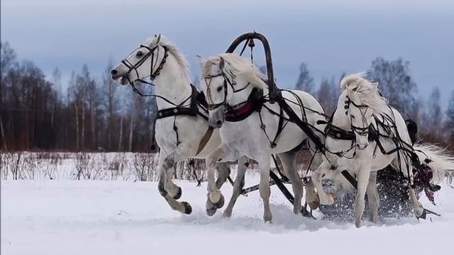 Трудно в деревне у нас ХИТ Цыганские песни .mp4 смотреть онлайн