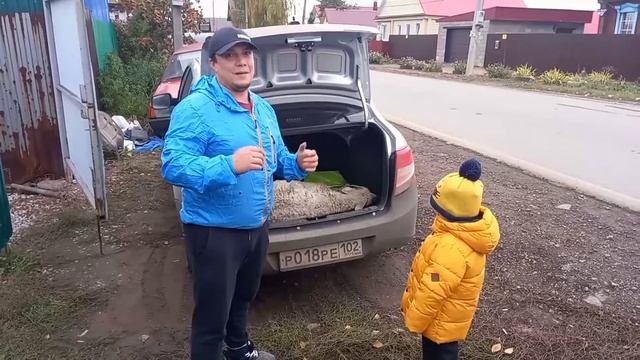 Баран целиком на вертеле смотреть онлайн