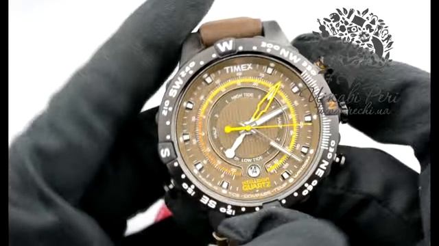 Часы Timex IQ Compas Tx2p141