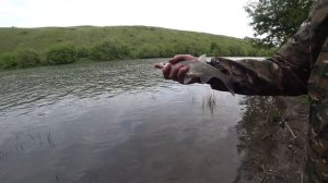 Новая Река,  Поймал Много Запрещённой Рыбы