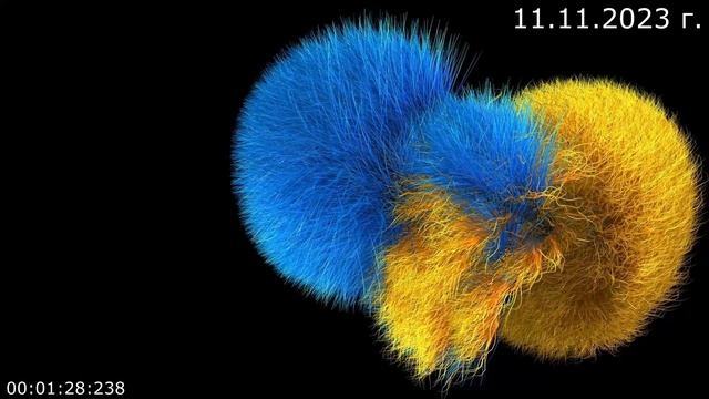 812 О воде 11.11.2023 г. смотреть онлайн