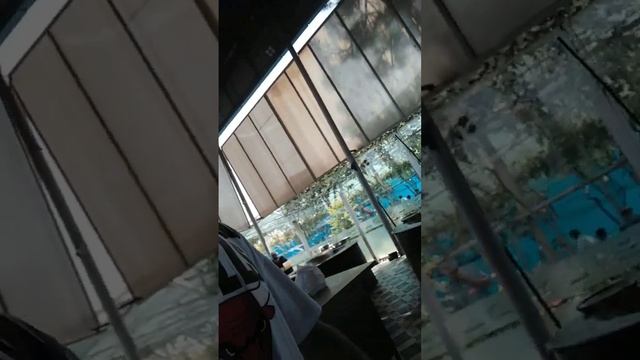 Центр Плова Ташкент смотреть онлайн