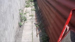 Семья из Мариуполя ЖИЗНЬ В МАРИУПОЛЕ. ШПИОНЮ.ПОМОГИТЕ СОВЕТОМ.ПОДСКАЖИТЕ #жизньвмариуполе