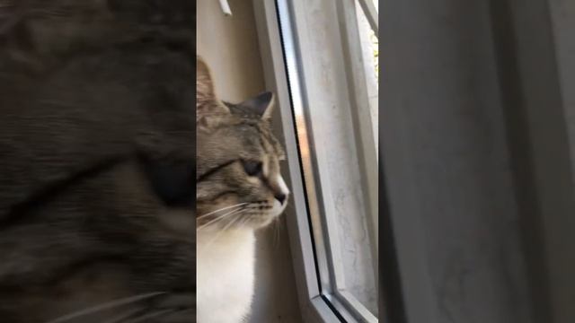 На кухне всем скопом смотреть онлайн
