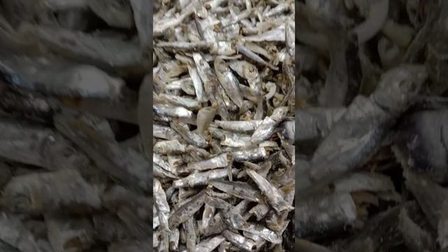 GROSIR ANEKA IKAN KERING ASIN DAN TAWAR смотреть онлайн