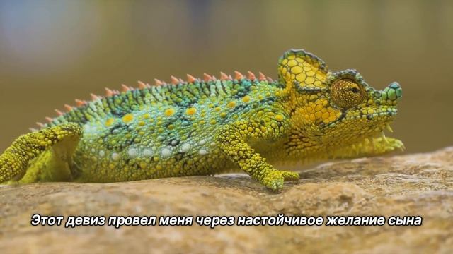 "Насколько это важно?". 9 января. Сегодня-лучший путь. Ежедневник для созависимых. смотреть онлайн