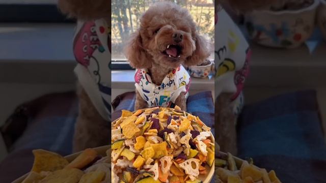 Furry kids also need to eat vegetables to supplement their dietary fiber. #dog #puppy #doglover смотреть онлайн