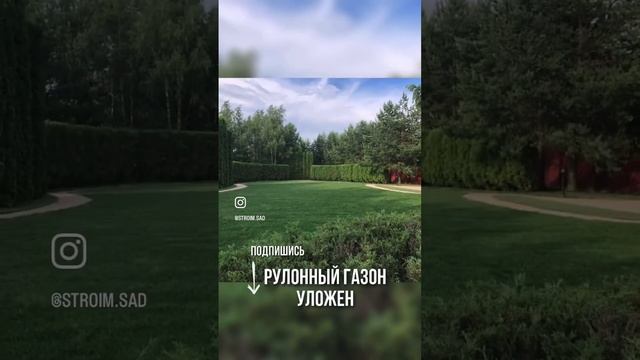 Укладка газона. Внуково, 900 кв.м. #ландшафт #газон #ландшафтныйдизайнучастка смотреть онлайн