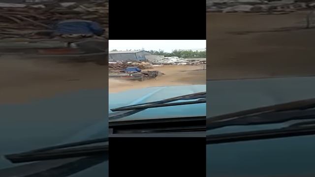 VID-20241228-WA0005 смотреть онлайн