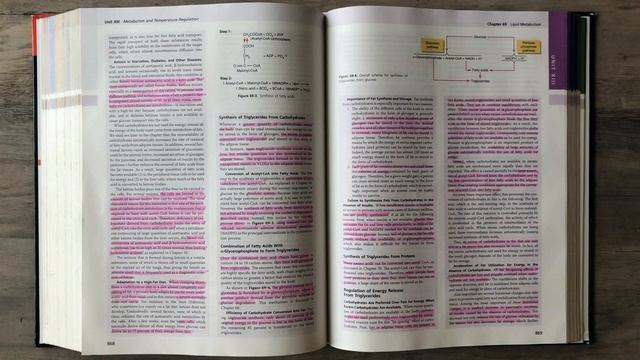 Guyton and Hall Medical Physiology (Chapter 69) REVIEW Lipid Metabolism Basics || Study This! смотреть онлайн