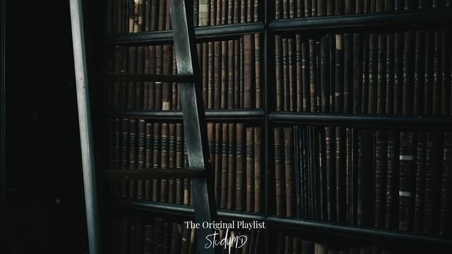 Dark Classical Academia. Youre Studying In A Large Library At Midnight