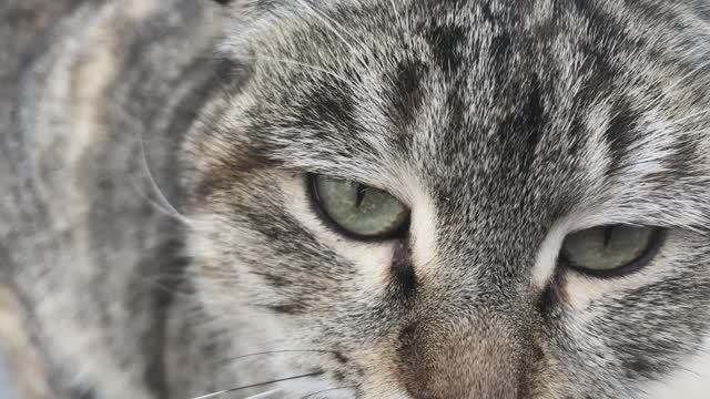 Знаю я Джаамат смотреть онлайн