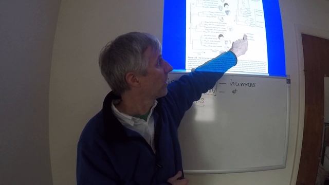 EBE HIV 3 30 Pt2 смотреть онлайн