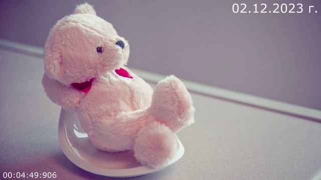 826 О воспитании детей 02.12.2023 г смотреть онлайн