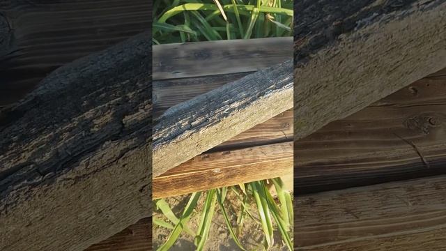 Лавочка из старого пиломатериала