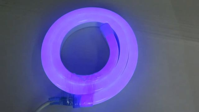High Voltage RGB  Led Neon Light From Rhein Lighting