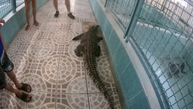 Out Doors: В Крыму-часть 3 смотреть онлайн