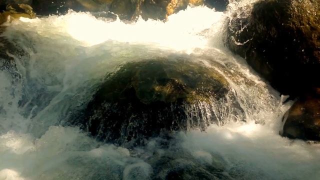 Макс Речкин смотреть онлайн