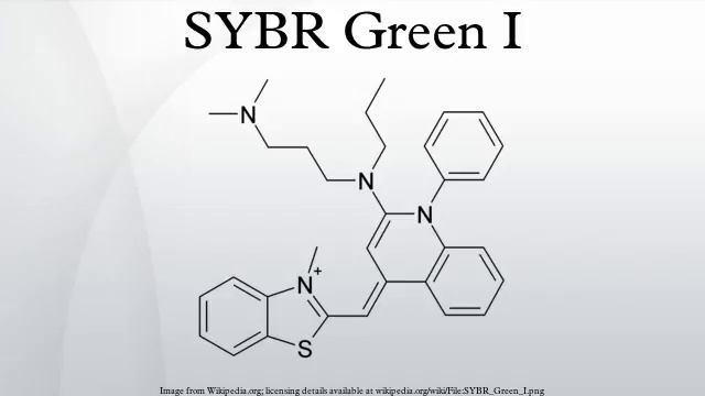SYBR Green I смотреть онлайн