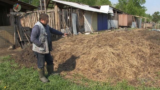 МАНГАЛИЦА, поросята 23 мая 2021, бактерии из Японии