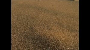 BBC: Джунгли 1 сезон 3 серия (документальный сериал, 2003)