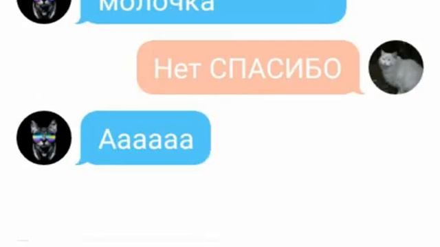 Переписка кота Васи и кошки Мурки . Вася хочет Мурку? смотреть онлайн