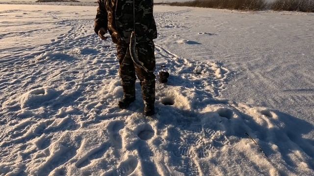 РЫБАЛКА оз. БЕРËЗОВОЕ. Алтайский край.2024г смотреть онлайн