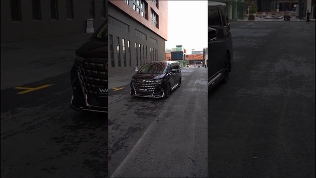 Toyota new Alphard 40 upgraded with #wald bodykits #bodykits смотреть онлайн