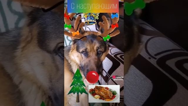 С наступающим НГ🐍 смотреть онлайн