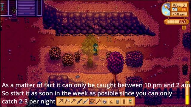 Stardew Valley Aquatic Overpopulation: Midnight Carp смотреть онлайн