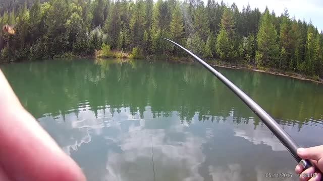 Форель на маховую удочку 8м с алиэкспресс смотреть онлайн