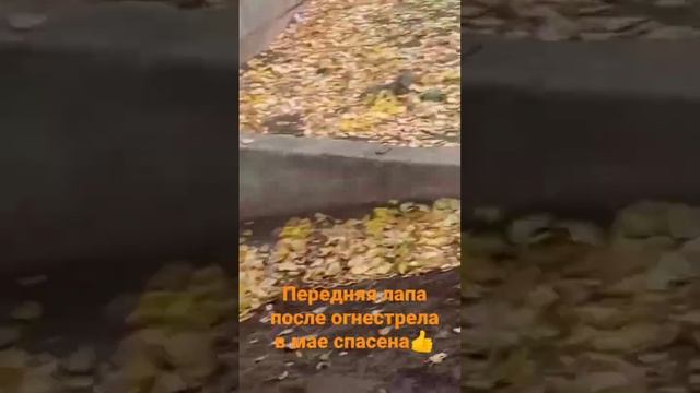 За Натахой не угнаться🥰 смотреть онлайн