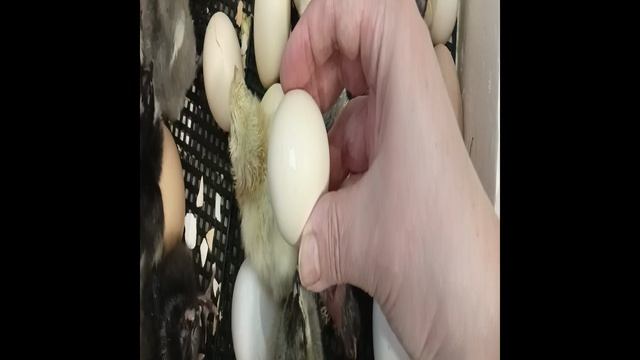 У меня вот что смотреть онлайн