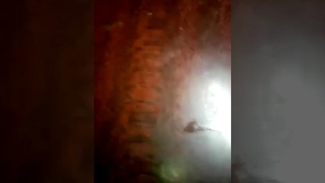 цыпа против добра смотреть онлайн