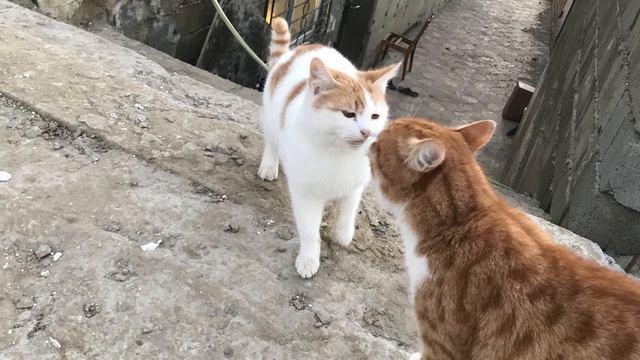 С праздником вас смотреть онлайн