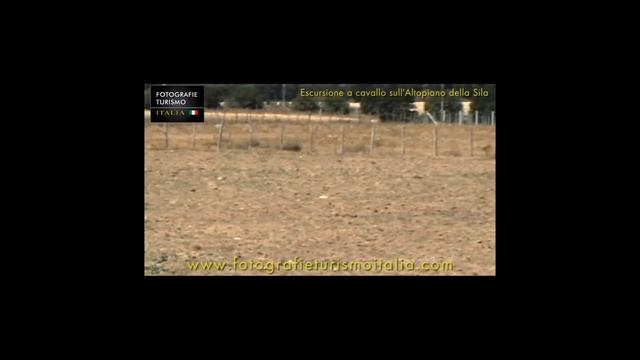 La Sila E Il Tempo Libero.