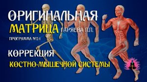 Коррекция костной системы » Программа №2 1 ⚠️ Оригинальная программа матрица ☀️ SoftRadio.ru