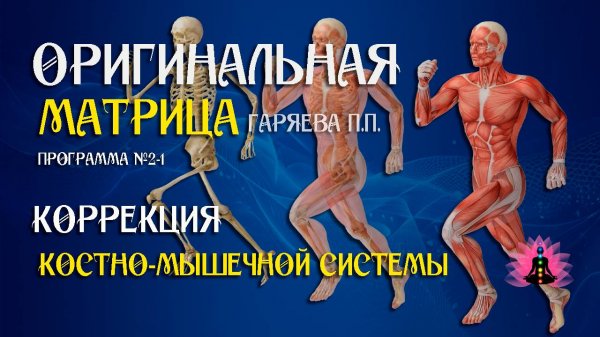 Коррекция костной системы » Программа №2 1 ⚠️ Оригинальная программа матрица ☀️ SoftRadio.ru