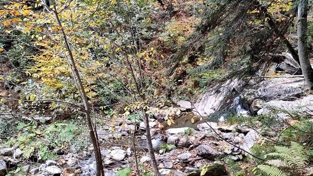 Водопады Сочи. Сеанс релаксации.