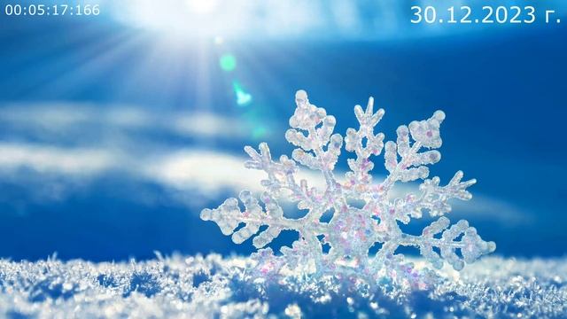 850 С новым годом 30.12.2023 г смотреть онлайн