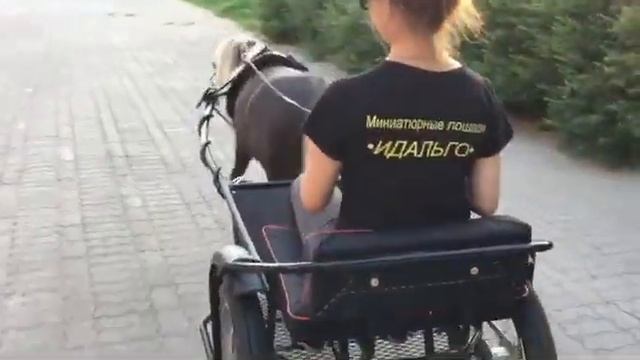 20 июля 2018 г. смотреть онлайн